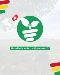 19-1744899377.jpg