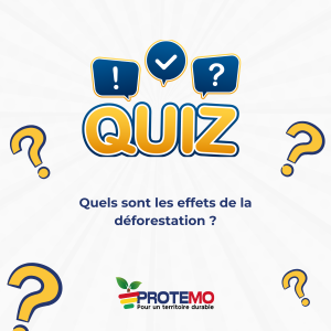 Blue_Minimalist_Quiz_Facebook_Post__Publication_LinkedIn_-1744899382.png